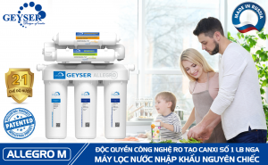 Chan Dung Geyser Allegro M 1